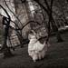Destination weddings photo gallery image