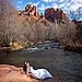Destination weddings photo gallery image