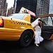 New York City NYC wedding gallery photo