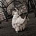 New York City NYC wedding gallery photo