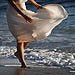 Trash The Dress gallery photo by Chesler Photography