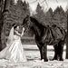 Trash The Dress gallery photo by Chesler Photography
