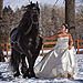 Trash The Dress gallery photo by Chesler Photography