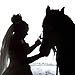 Trash The Dress gallery photo by Chesler Photography