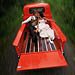 Trash The Dress gallery photo by Chesler Photography