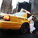 Trash The Dress gallery photo by Chesler Photography