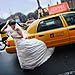 Trash The Dress gallery photo by Chesler Photography
