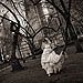 Trash The Dress gallery photo by Chesler Photography