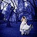 Trash The Dress gallery photo by Chesler Photography
