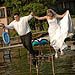 Trash The Dress gallery photo by Chesler Photography