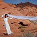 Trash The Dress gallery photo by Chesler Photography
