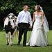 Trash The Dress gallery photo by Chesler Photography
