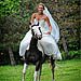 Trash The Dress gallery photo by Chesler Photography