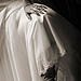Trash The Dress gallery photo by Chesler Photography
