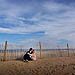 Trash The Dress gallery photo by Chesler Photography
