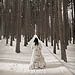 Trash The Dress gallery photo by Chesler Photography