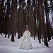 Trash The Dress gallery photo by Chesler Photography