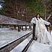 Trash The Dress gallery photo by Chesler Photography