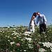 Wedding gallery photo by Chesler Photography