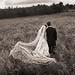 Wedding gallery photo by Chesler Photography
