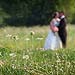 Wedding gallery photo by Chesler Photography