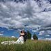 Wedding gallery photo by Chesler Photography
