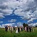 Wedding gallery photo by Chesler Photography