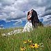 Wedding gallery photo by Chesler Photography