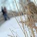Winter wedding gallery photo by Chesler Photography