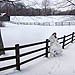 Winter wedding gallery photo by Chesler Photography