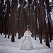 Winter wedding gallery photo by Chesler Photography