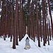 Winter wedding gallery photo by Chesler Photography