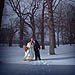 Winter wedding gallery photo by Chesler Photography